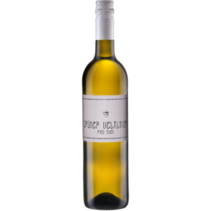 Gr&uuml;ner Veltliner Ried Eben 2025